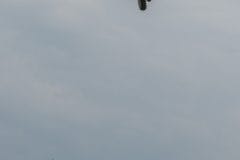 20250712-185413-DSC_5330